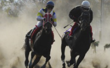 佐久市望月駒の里草競馬大会（11月3日）