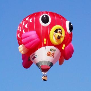 佐久市PR熱気球 「佐久の鯉太郎2」を製作したい！｜ふるさと