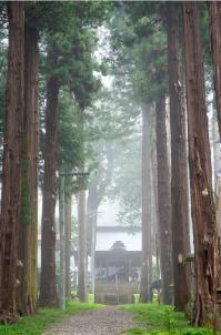 21【入選】　新海神社（伊藤宏）.jpg