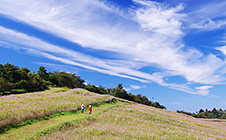 内山牧場キャンプ場