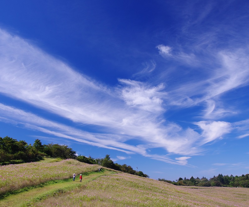 http://www.sakukankou.jp/MT/mtblog/nature/imgs/%E5%86%85%E5%B1%B1%E7%89%A7%E5%A0%B4.jpg