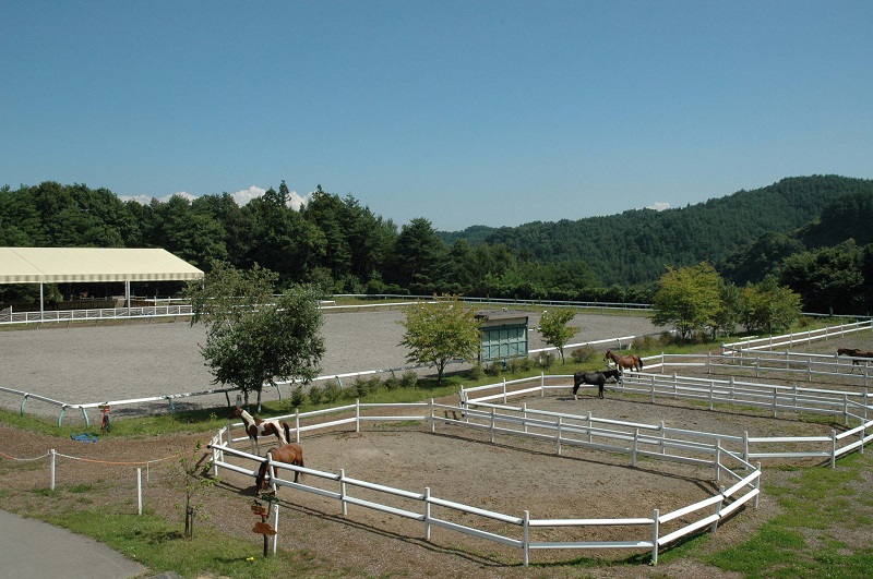 http://www.sakukankou.jp/MT/mtblog/nature/imgs/%E6%9C%9B%E6%9C%88_%E9%A6%AC%E4%BA%8B%E5%85%AC%E8%8B%91.jpg