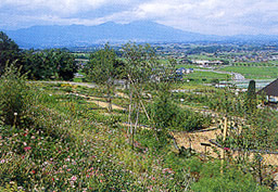 http://www.sakukankou.jp/MT/mtblog/nature/imgs/park06.jpg