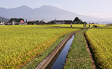 五郎兵衛用水