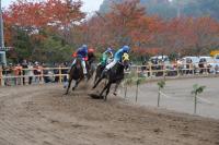 04　優秀賞　コーナーで競う（丸山良平）.jpg