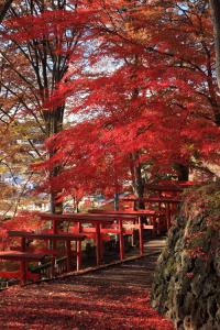 08　入選　紅（篠原孝哲）.jpg