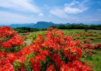 04【優秀賞】初夏の佐久高原（奥原静男）.jpg