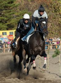 29【入選】迫力の競走馬レース（丸山良平）.jpg