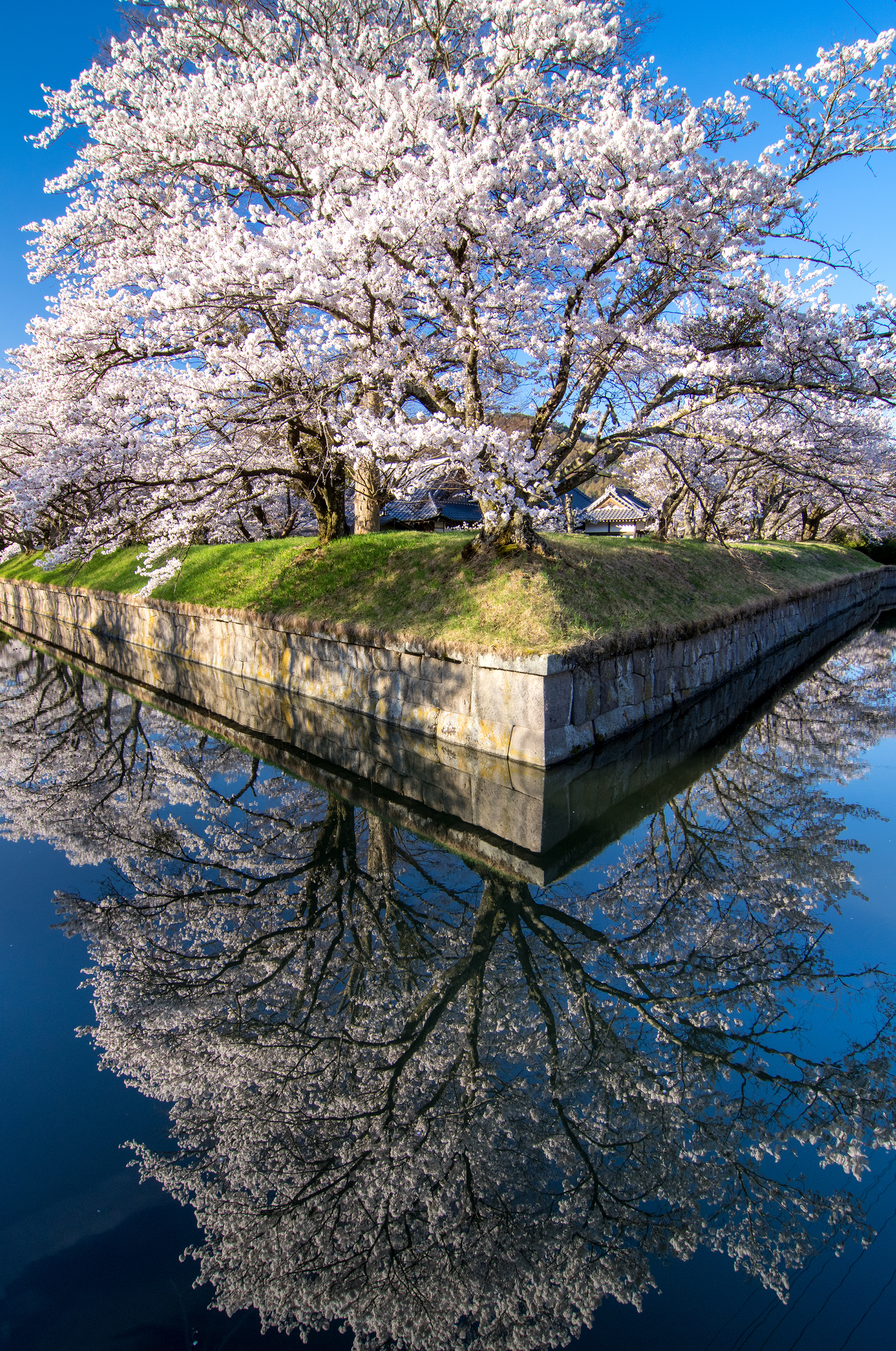 http://www.sakukankou.jp/photo-contest/26%E3%80%90%E5%85%A5%E9%81%B8%E3%80%91%E3%80%8C%E6%98%A5%E3%81%AE%E9%9D%99%E5%AF%82%E3%80%8D%28%E7%AF%A0%E5%8E%9F%E8%AA%A0%29.jpg