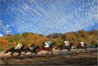 5【準優秀賞】「草競馬大会」(青木彦忠).jpg