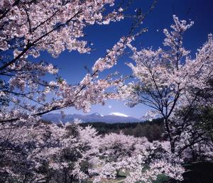 01【最優秀賞】「浅間山を望む」（鈴木清久）.jpg