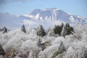 22【入選】「霧氷の佐久高原」（上原泰昭）.JPG