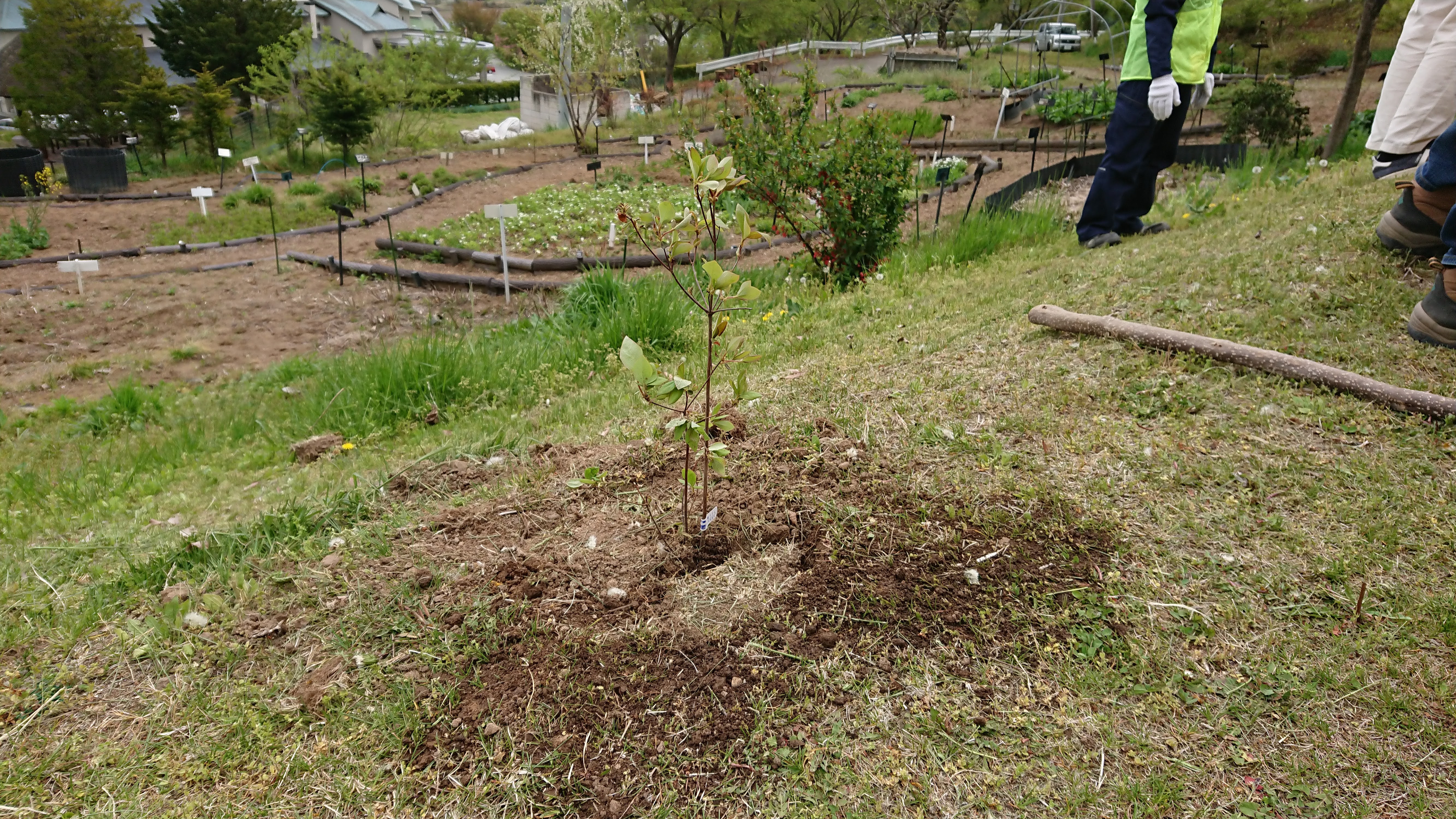 eco-img1.jpg