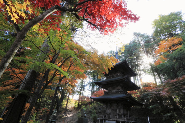観光フォトコンテスト2012