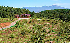 ふるさとの森公園