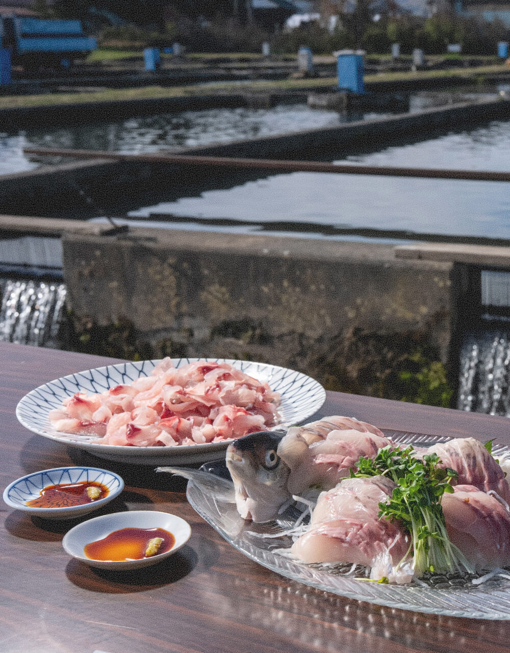 川魚